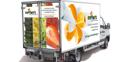 Cutting’s adquiere el 51% de Nice Fruit  y entra en el mercado de la fruta congelada