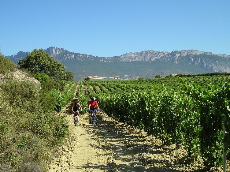 Buggies y bicis eléctricas, la mejor opción para recorrer La Rioja