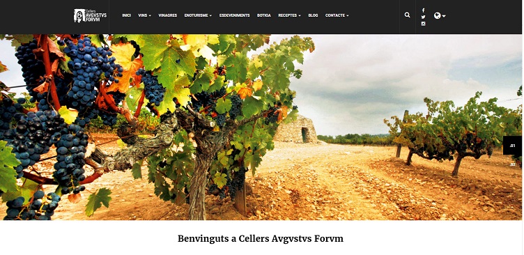 La nueva web de Cellers Avgvstvs Forvm invita a interactuar publicando recetas con sus productos
