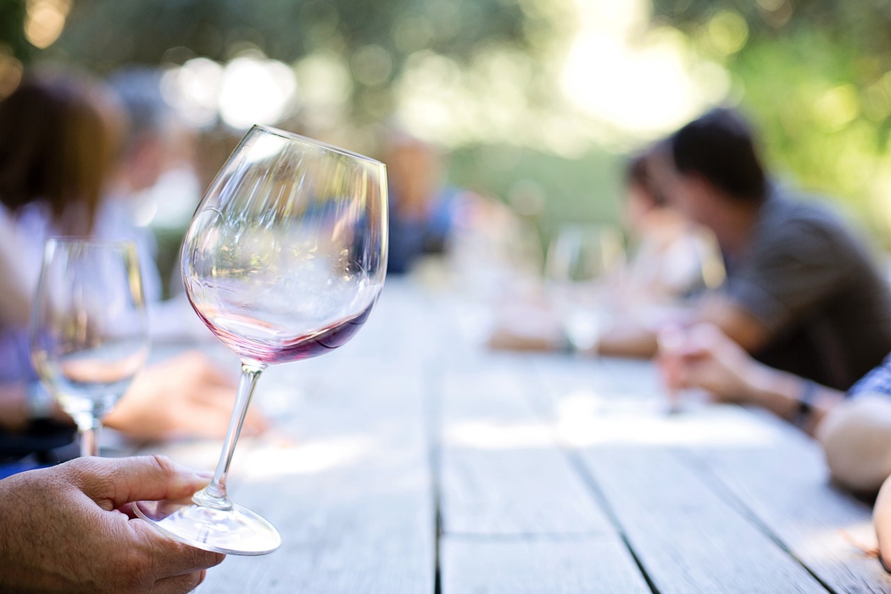 El Fórum Wine and Health 2017 pregona las bondades del consumo moderado de vino sobre la salud