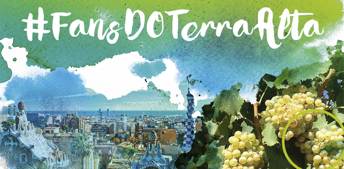 Más de 400 profesionales se dan cita para probar los vinos de la DO Terra Alta en Barcelona